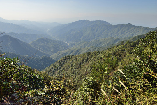 井冈山风光