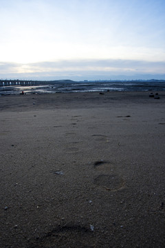 沙滩足迹