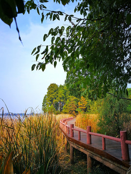 东湖落雁景区