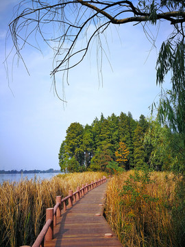 东湖落雁景区