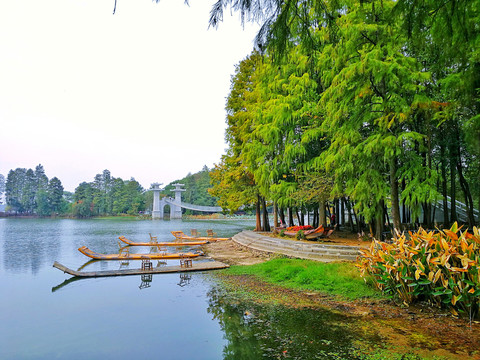 东湖落雁景区