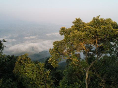山顶风光