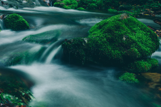 绿石谷青苔苔藓原生态水源地