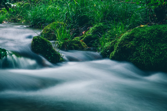 绿石谷青苔苔藓原生态水源地