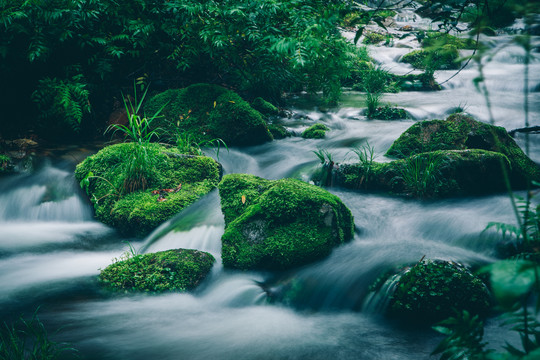 绿石谷青苔苔藓原生态水源地