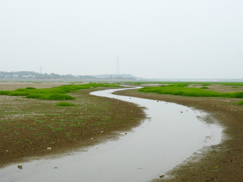 鄱阳湖干涸河流