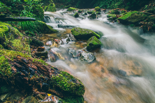 绿石谷青苔苔藓原生态水源地