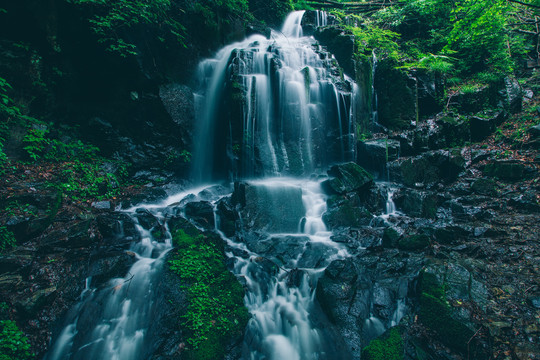 绿石谷青苔苔藓原生态水源地