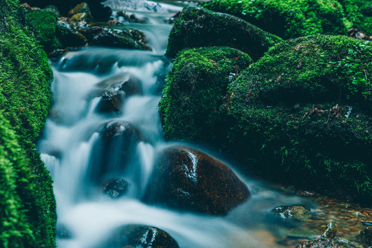 绿石谷青苔苔藓原生态水源地