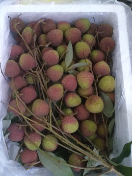 荔枝