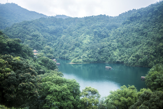 鼎湖山湖水