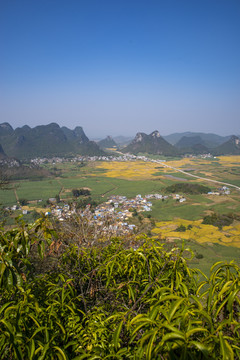 风景