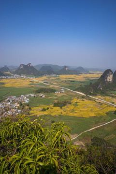 金秋风景