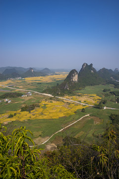 风景