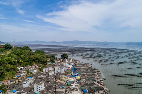 霞浦围江海带养殖基地