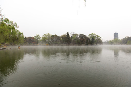 北大未名湖博雅塔红四楼备斋薄雾