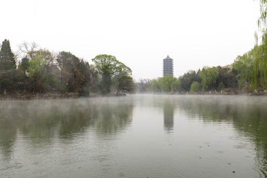北大校园未名湖博雅塔柳树薄雾