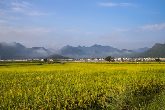 山间的稻田