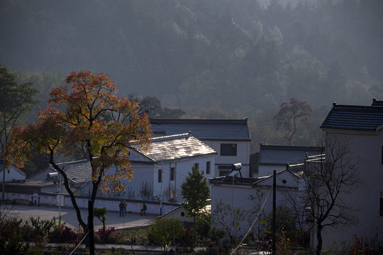 山里人家