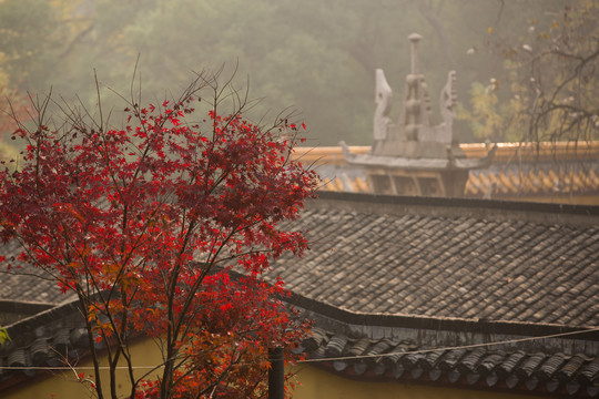 岳麓山