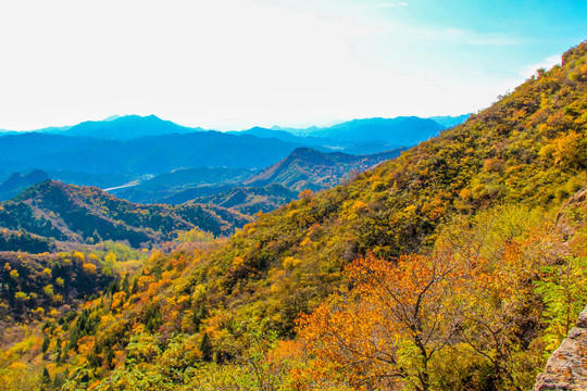 长城秋景