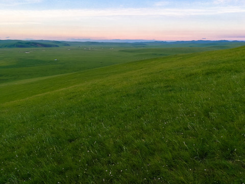夏季傍晚的草原