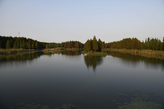 青西郊野公园景观