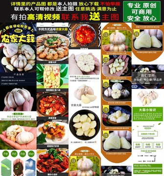 大蒜详情