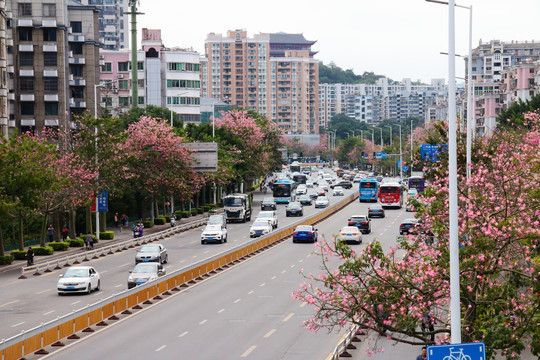 福州福飞路