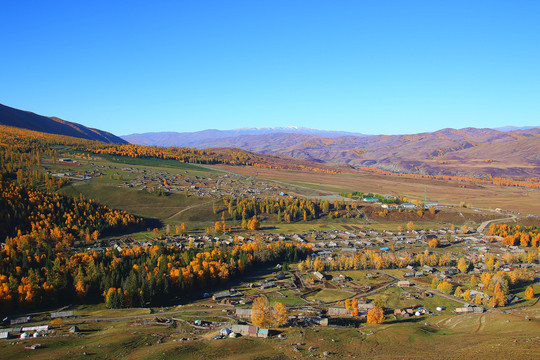新疆北疆阿勒泰白哈巴秋景