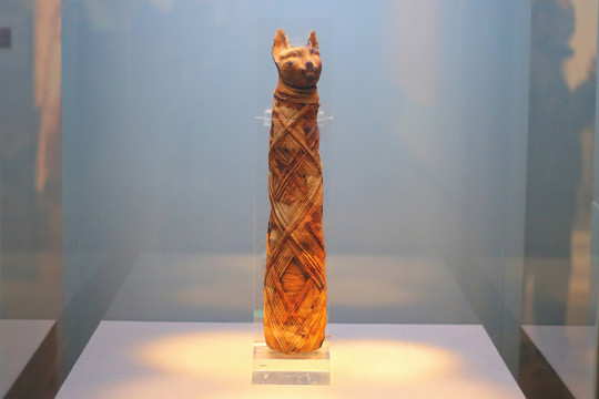 古埃及文物喵乃伊猫木乃伊
