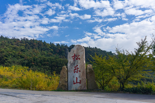 宜都王畈镇松乐山林场