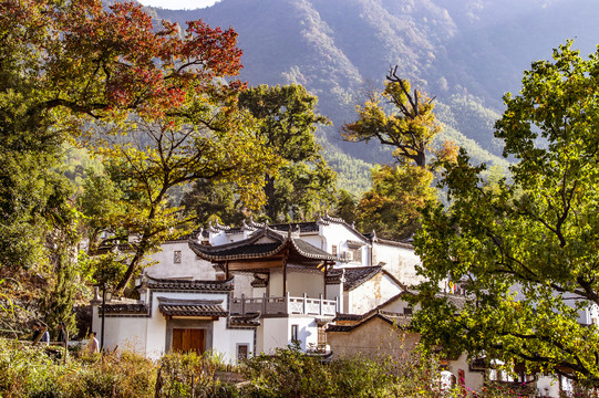 塔川秋景