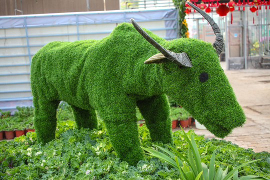 植物雕塑牛
