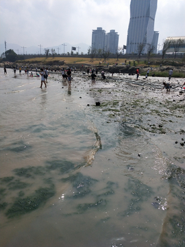 海边山顶