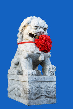 蓝色背景下戴红花的石狮子雕塑