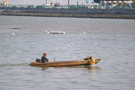 珠海市情侣路风景