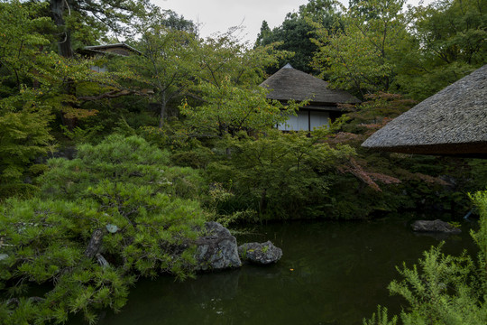 深山隐居