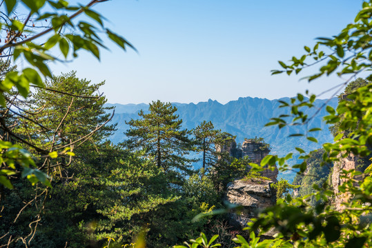 张家界一步登天景观