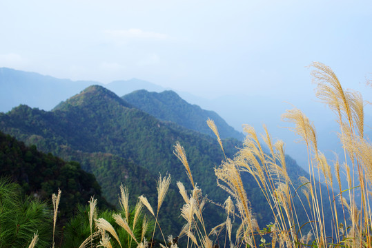 崇山峻岭