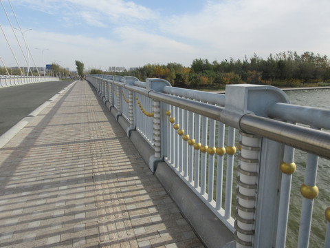不锈钢桥护栏