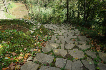 石板路上 田间地头