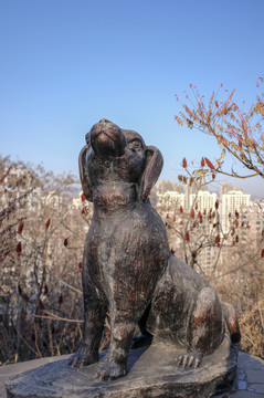 山顶的狗雕塑