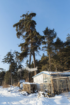 雪乡雪景