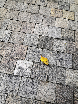 地板砖