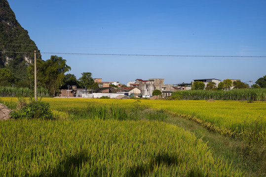 田园风光