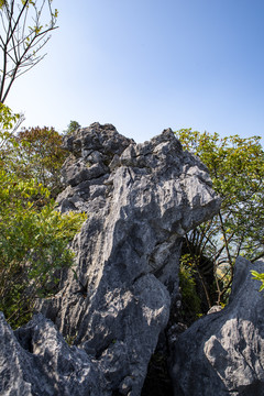 山顶的石头