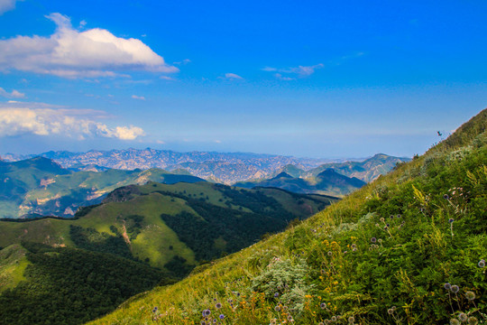 黄草梁风景区