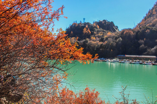 巴松措景区