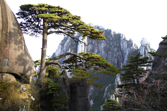 登黄山天下无山